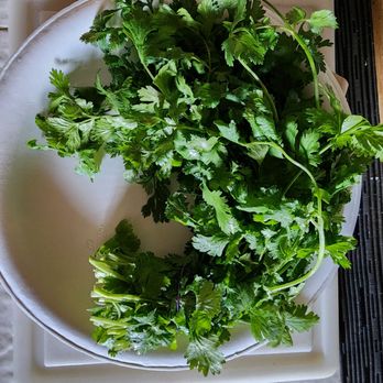 Mountain Mike's Pizza - Cilantro that I bought next door at Sprouts - Pizza Near Me - Corona, California