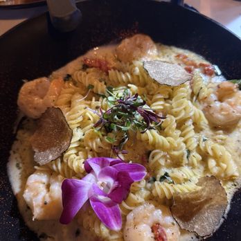 Mia Bella Restaurant - Special - GF pasta with shrimp and truffles - Mediterranean Near Me - Cleveland, Ohio Mia Bella Restaurant - Special - GF pasta with shrimp and truffles - Mediterranean Near Me - Cleveland, Ohio