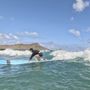 Photo of Ty Gurney Surf School