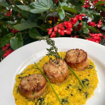 Luigi's Restaurant - Risotto con Cappesante - Pan-Seared Jumbo Scallops over Cauliflower Rice Saffron Risotto - Italian Near Me - Fairfield, Connecticut Luigi's Restaurant - Risotto con Cappesante - Pan-Seared Jumbo Scallops over Cauliflower Rice Saffron Risotto - Italian Near Me - Fairfield, Connecticut