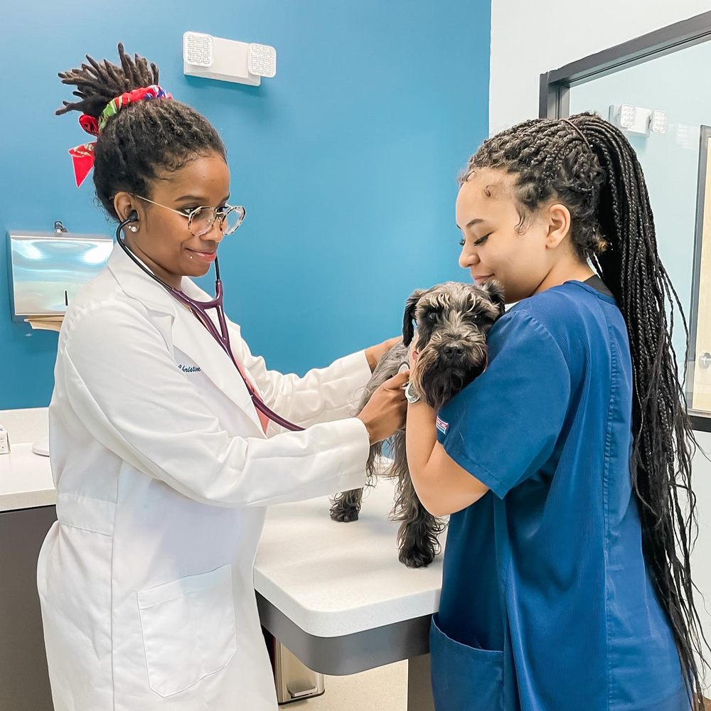 PETWELLCLINIC FORT LAUDERDALE Updated September 2024 29 Photos 1591 N Federal Hwy, Fort