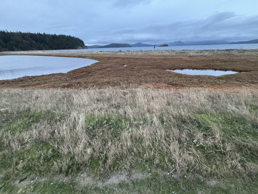 Spencer Spit State Park by null