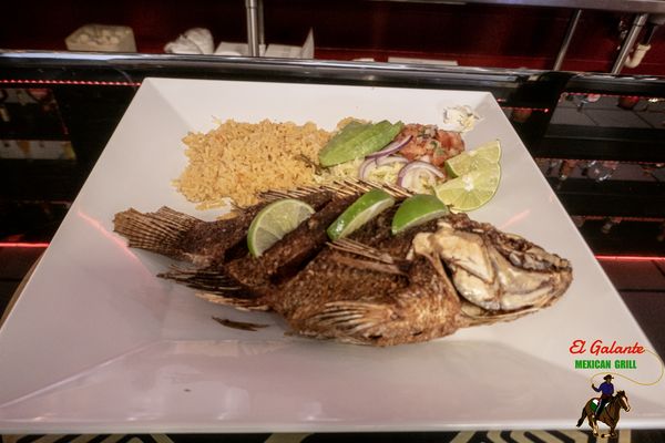 El Galante Mexican Grill by null