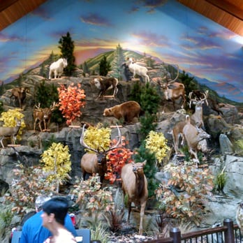 Cabela's - Outdoor Gear Near Me - Cheektowaga, New York