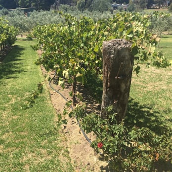 Lloyd Brothers - Wineries Near Me - McLaren Vale, SA