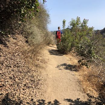 Los Leones Canyon - Los Liones Canyon Trail - Hiking Near Me - Pacific Palisades, California Los Leones Canyon - Los Liones Canyon Trail - Hiking Near Me - Pacific Palisades, California