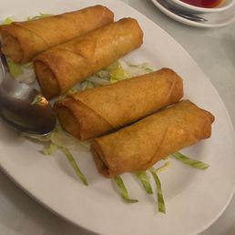 Two Spring Roll Combo Platter