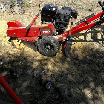 Pedro's Landscape - Stomp grinding - Landscaping Near Me - Hesperia, California