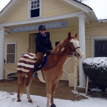 Brookville Farms - Horse Boarding Near Me - Glen Head, New York