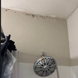 Boulder Court Apartments - mold