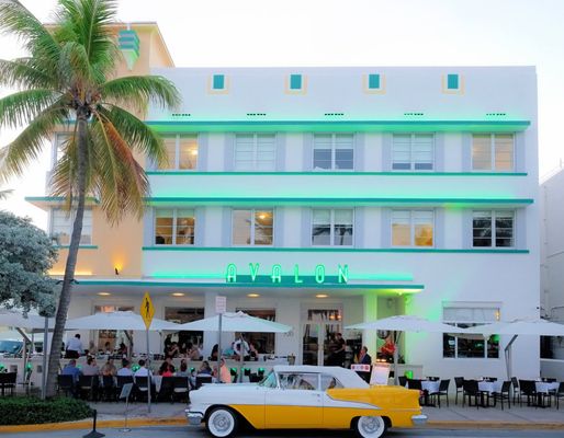 Avalon Hotel Miami by null
