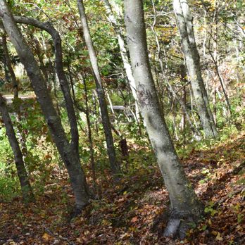 Copp Park - Hiking Near Me - Groton, Connecticut