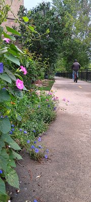 White Rabbit Books & Curiosities by null