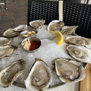 Oceans 234 - Two varieties of east coast oysters. Both excellent. - New American Near Me - Deerfield Beach, Florida