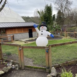 Wildlife Safari - Frosty