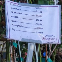 Farm Supply Company - Bare Root selections are available now