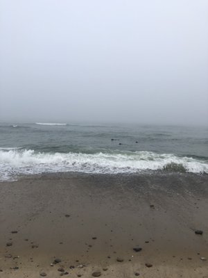 Coast Guard Beach by null