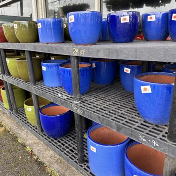 Koolau Farmers - Nice assortment of medium to large ceramic pots - Home & Garden Near Me - Kaneohe, Hawaii Koolau Farmers - Nice assortment of medium to large ceramic pots - Home & Garden Near Me - Kaneohe, Hawaii