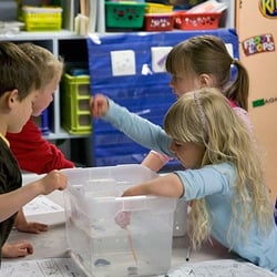 Caughlin Preschool