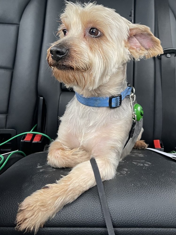 Playful Pets - pet boarding facility in Columbus, OH