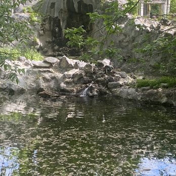 Idaho Falls Zoo - Pond - Zoos Near Me - Idaho Falls, Idaho Idaho Falls Zoo - Pond - Zoos Near Me - Idaho Falls, Idaho