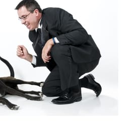Critter Concierge - professional pet sitter, dog walker and more