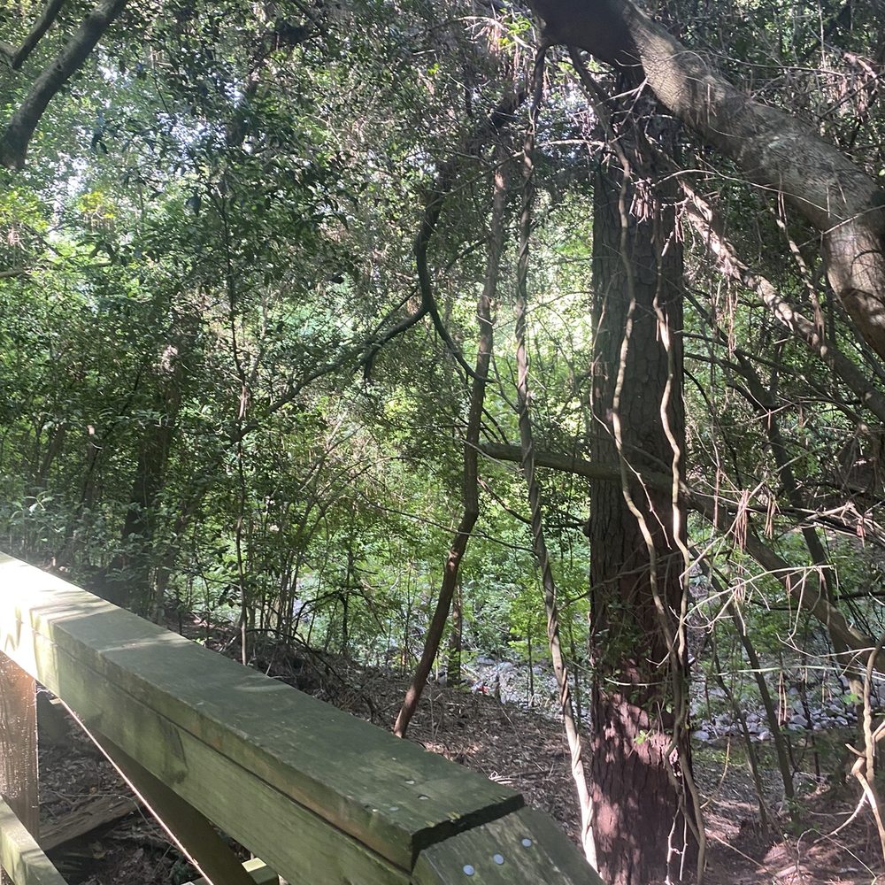Edith L Moore Nature Sanctuary - Parks Near Me - Houston, Texas Edith L Moore Nature Sanctuary - Parks Near Me - Houston, Texas