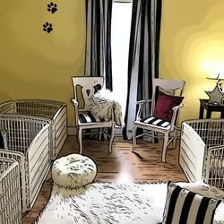 Sweet Paws Inn