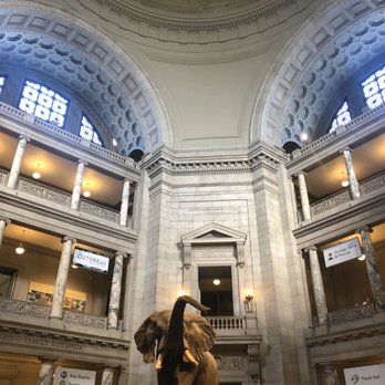 National Mall - Natural History - Landmarks & Historical Buildings Near Me - Washington, DC, District of Columbia
