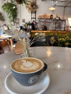 Dandy Lion Coffee Co. by null