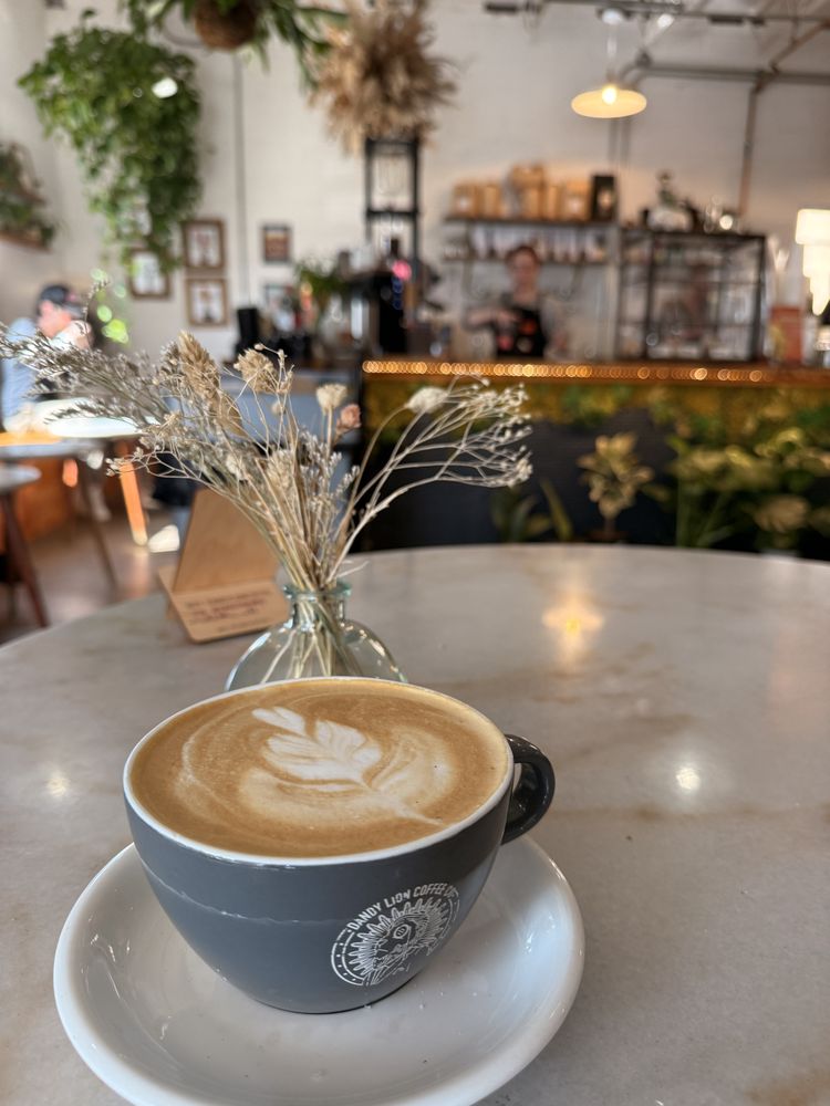 Dandy Lion Coffee