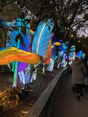 Jacksonville Zoo and Botanical Gardens by null