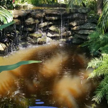 Bamboo And Orchid Gardens - Landscaping Near Me - Davie, Florida Bamboo And Orchid Gardens - Landscaping Near Me - Davie, Florida