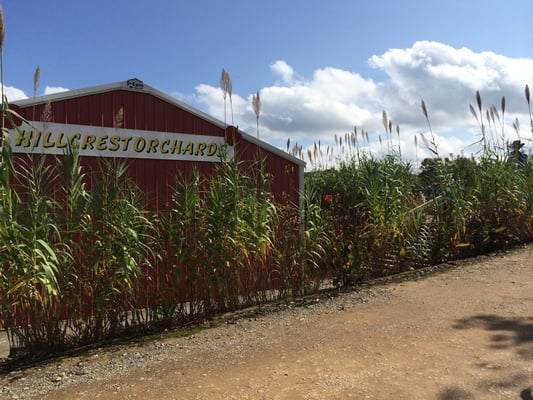 Hillcrest Orchards by null