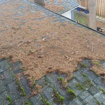 Moss Busters - I had blown some of this off already but this the before. - Gutter Services Near Me - Portland, Oregon Moss Busters - I had blown some of this off already but this the before. - Gutter Services Near Me - Portland, Oregon