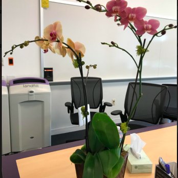 Jeannettes Flowers - Not the flowers that I thought I had purchased. I placed an order for the Divine Orchid Approximately 14" W x 22" H. SMH - Florists Near Me - Campbell, California Jeannettes Flowers - Not the flowers that I thought I had purchased. I placed an order for the Divine Orchid Approximately 14" W x 22" H. SMH - Florists Near Me - Campbell, California
