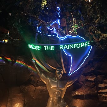Rainforest Cafe - American Near Me - Atlantic City, New Jersey Rainforest Cafe - American Near Me - Atlantic City, New Jersey