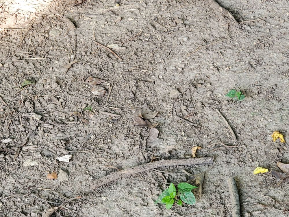 Slide of Pipe Wrench Plumbing, Heating & Cooling