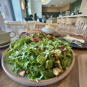 Wildflour - Arugula salad and tuna mela sandwich and chips - Beer Bar Near Me - South San Francisco, California Wildflour - Arugula salad and tuna mela sandwich and chips - Beer Bar Near Me - South San Francisco, California