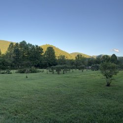 River Road Farms - Blue berry and blackberry farm