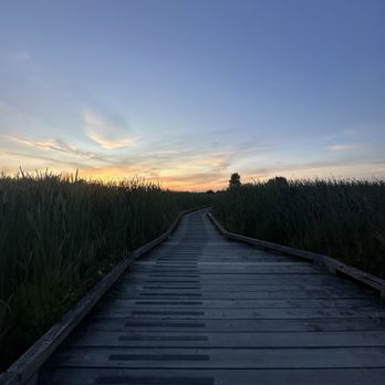 1. Centennial Beach - Boundary Bay Regional Park