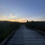 Photo of Centennial Beach - Boundary Bay Regional Park