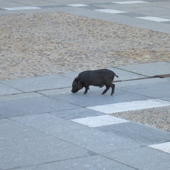 Plaza Mayor - :) - Landmarks & Historical Buildings Near Me - Madrid, M