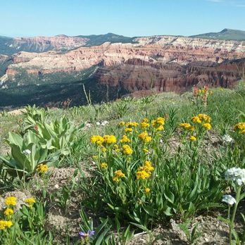 Cedar Breaks National Monument - Landmarks & Historical Buildings Near Me - Brian Head, Utah