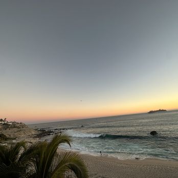 Manta - Mexican Near Me - Cabo San Lucas, BCS