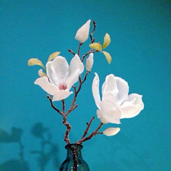 Pure Beauty - Massage Near Me - Amsterdam, New Hampshire Pure Beauty - Massage Near Me - Amsterdam, New Hampshire