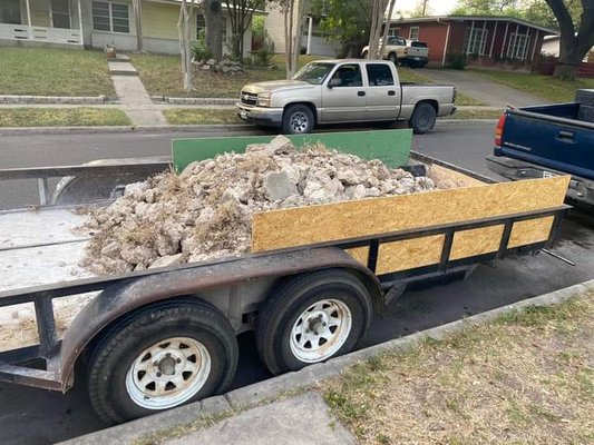 Noah's ark landscaping and more