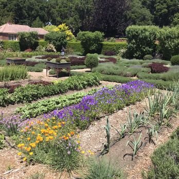 Filoli - Garden grounds - Botanical Gardens Near Me - Woodside, California