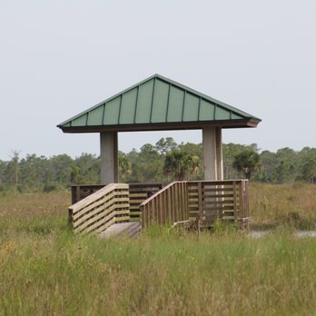 Pine Glades - Parks Near Me - Jupiter, Florida Pine Glades - Parks Near Me - Jupiter, Florida