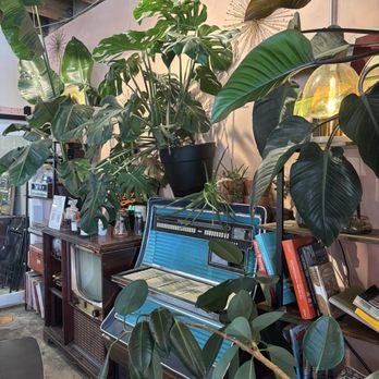 Subjective Coffee - Retro vibes! - Coffee & Tea Near Me - Westminster, Colorado